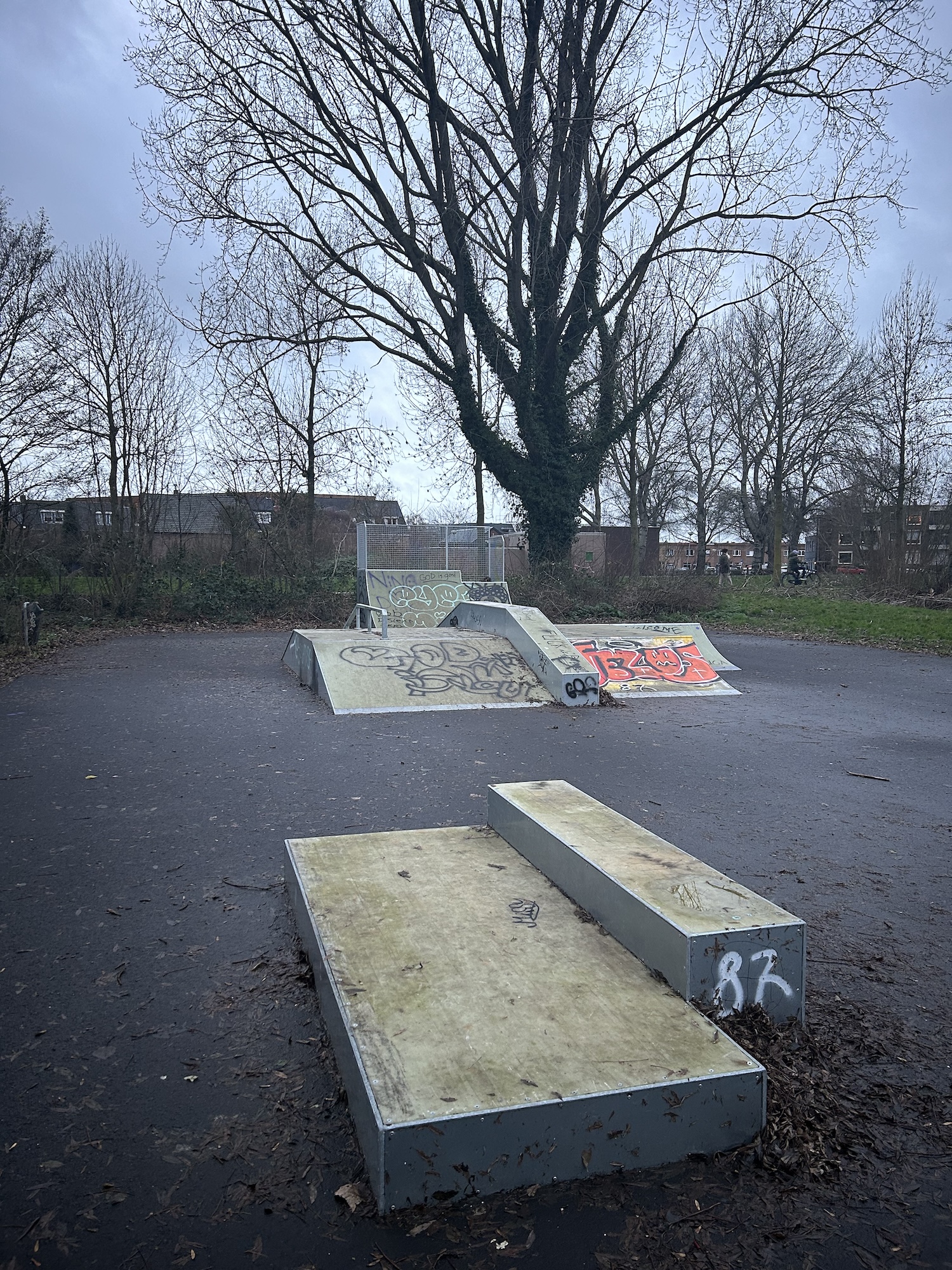 Boeimeer Skatepark
